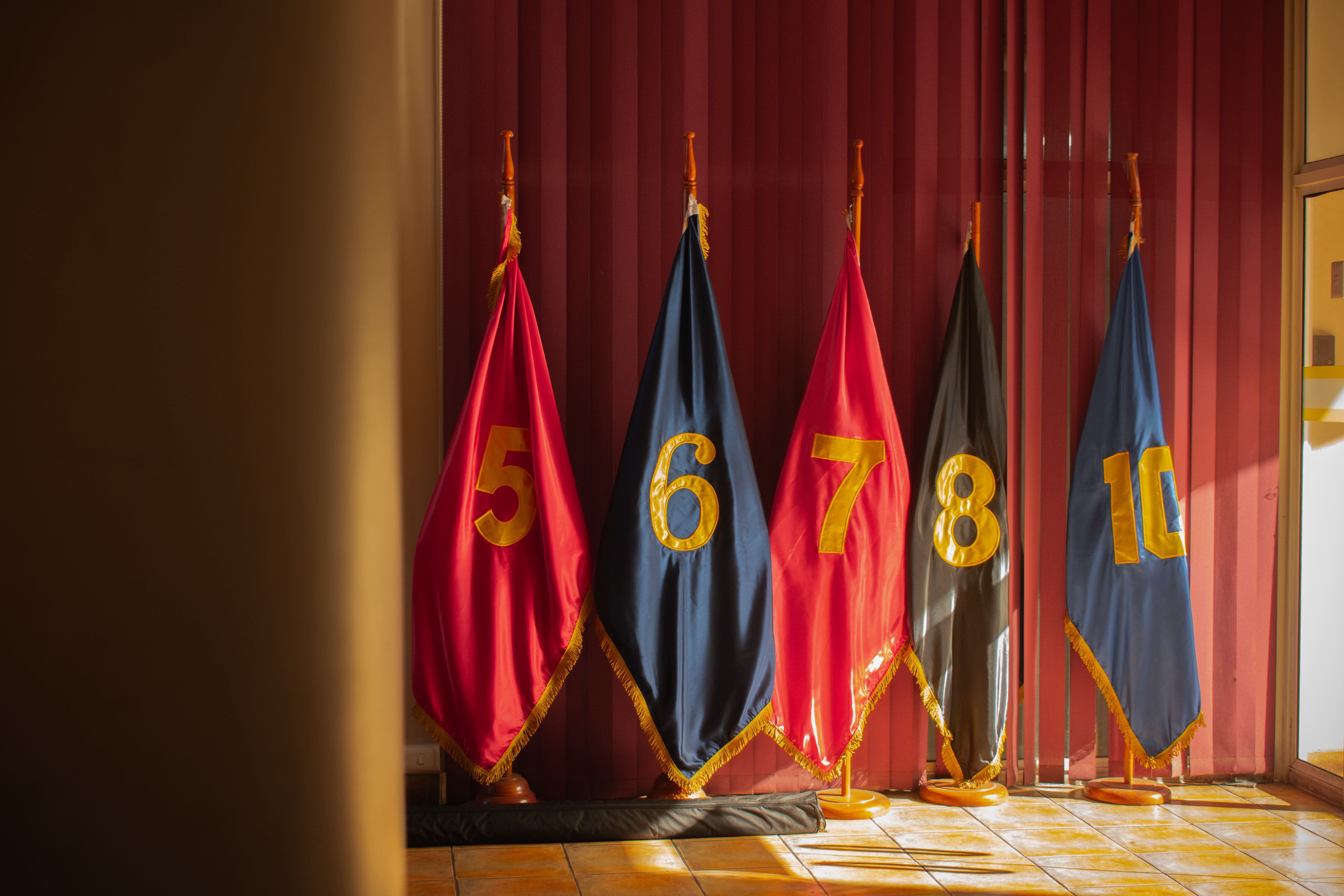 Banner Proyectos